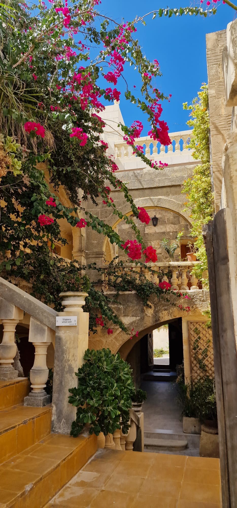 Bougainvillea in the internal courtyard at Molendini Farmhouse